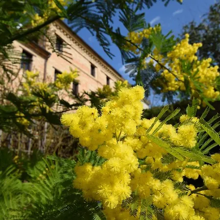 Caserma Carina Country House 아파트 모글리아노